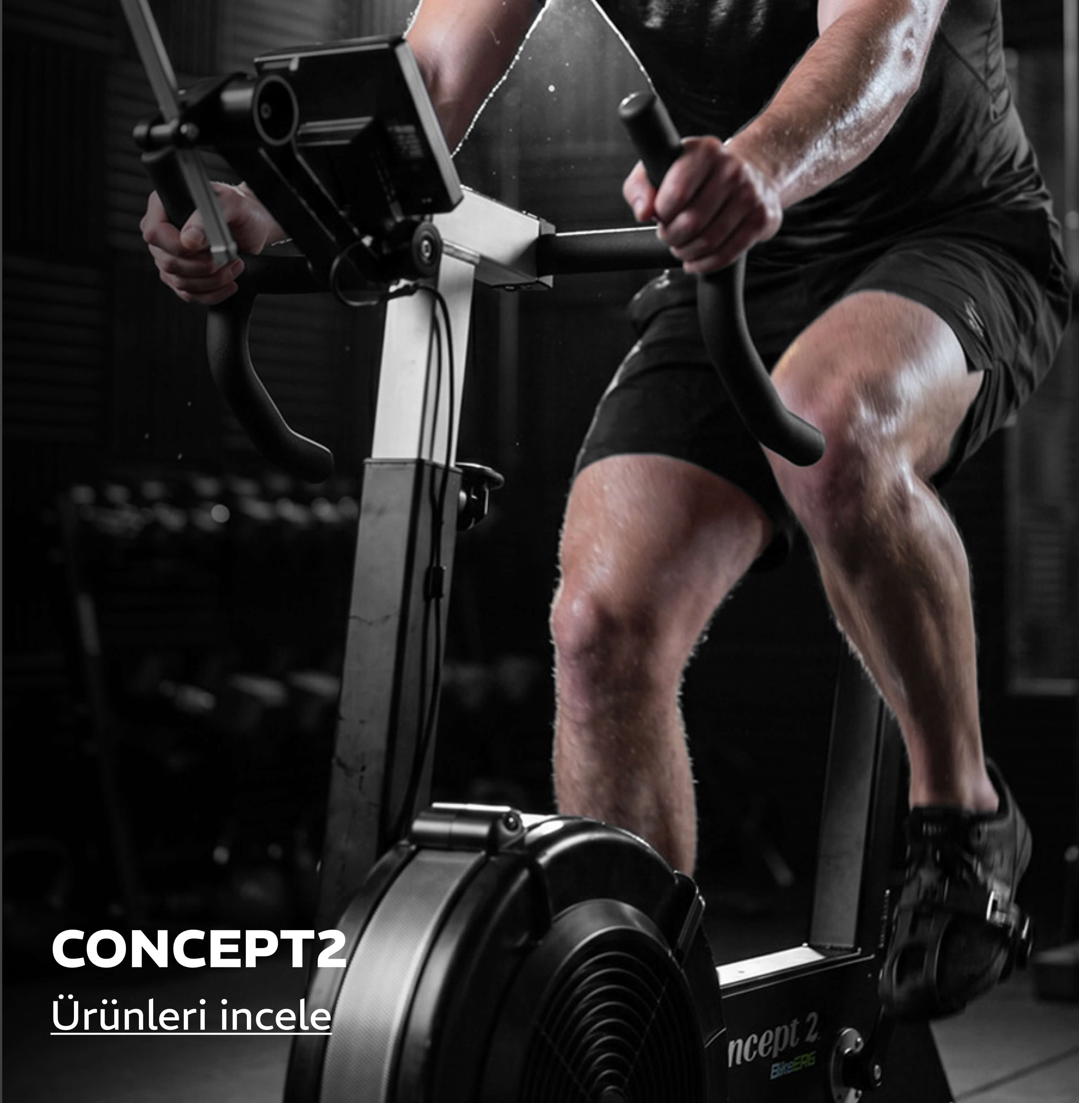Concept 2