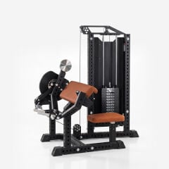 XWORKS Biceps Triceps Combo - Ön Arka Kol Kombo (PLX0020)