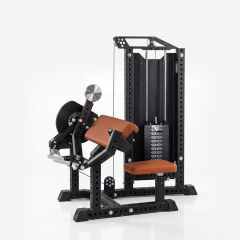 XWORKS Biceps Triceps Combo - Ön Arka Kol Kombo (PLX0020)