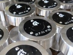 XWORKS Paslanmaz Çelik Dambıl - Stainless Steel Dumbbell (Tek) (FWX4010) 50KG (TEK)
