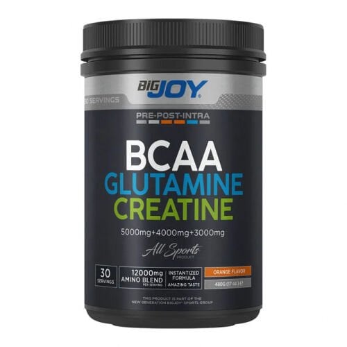 Bigjoy Sports Bcaa+Glutamine+Creatine 480 Gr - Portakal