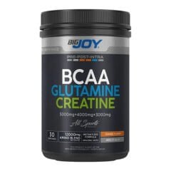 Bigjoy Sports Bcaa+Glutamine+Creatine 480 Gr - Portakal