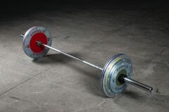 GYMHOLIX® Powerlifting Disc Plate V.2 – Metal Flanşlı Ağırlık Plakası (FGX2010) 10 KG Plaka Çift