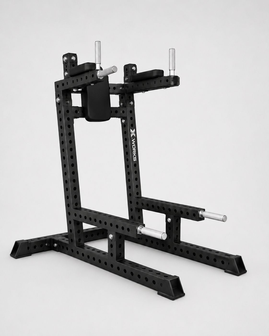 XWORKS Chin Up & Dip Station - Barfiks & Dip İstasyonu (FWX0700)