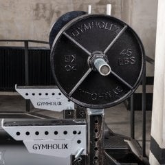 GYMHOLIX® Retro Disc Plate – Metal Flanşlı Ağırlık Plakası (FGX3010)