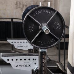 GYMHOLIX® Retro Disc Plate – Metal Flanşlı Ağırlık Plakası (FGX3010)