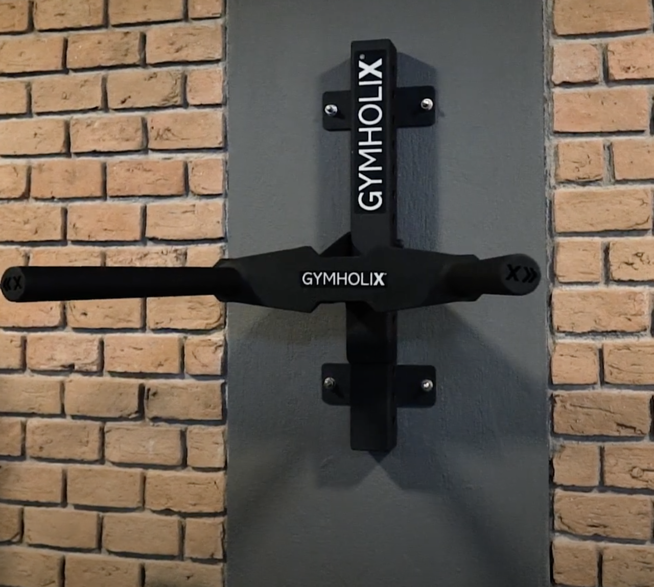 GYMHOLIX® W-Bar Ayarlanabilir Duvar Tipi Dips Askısı (FGA0068)