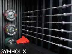 GYMHOLIX® FastBox Cube HERO | Tek Kapılı Taşınabilir Konteyner Fitness İstasyonu (CGXF040)