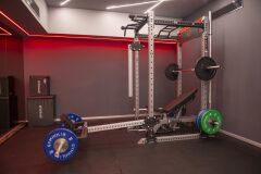 GYMHOLIX® Lever Power Arms | Plate Loaded Güç Kolları (FGX9996) Standart Tek Güç Kolu + Belt Squat Eklentisi