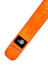 CLAW Flex Belt Orange