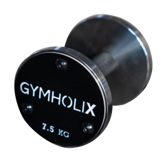 GYMHOLIX® Paslanmaz Çelik Dambıl - Stainless Steel Dumbbell (Tek) (FGX4010) 2.5KG