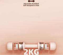 Werksan Ayarlanabilir Home Dumbell | Ev Tipi Ayarlı Dambıl Seti