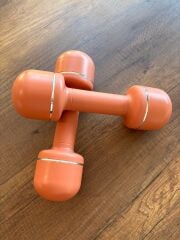 Werksan Ayarlanabilir Home Dumbell | Ev Tipi Ayarlı Dambıl Seti