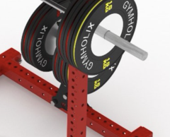 GYMHOLIX® İstasyon Plaka Depolama Ünitesi – Olimpik Ağırlık Plakası Askılığı (Rack Uyumlu) (FGA8800)