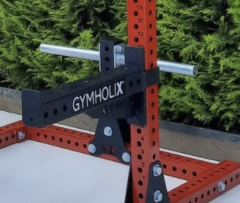 GYMHOLIX® İstasyon Plaka Depolama Ünitesi – Olimpik Ağırlık Plakası Askılığı (Rack Uyumlu) (FGA8800)