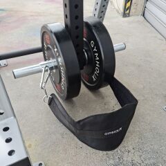 GYMHOLIX® Reverse Hyper – Bel, Kalça ve Posterior Chain Güçlendirme Makinesi (FGX0061)