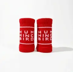 Hummingbird Sweatband