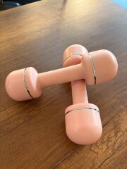 Werksan Ayarlanabilir Home Dumbell | Ev Tipi Ayarlı Dambıl Seti PEMBE (RAL4006)