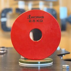 XWORKS Renki Mikro Metal Plaka | Powerlifting Çelik Ağırlık Plakası (Çift) (FWX7001) 1 KG Plaka Çift