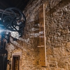 GYMHOLIX® Peg Board Tırmanma Tahtası V2 – Tırmanış & Üst Vücut Güç Ekipmanı (GXW260000)