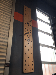 GYMHOLIX® Peg Board Tırmanma Tahtası V2 – Tırmanış & Üst Vücut Güç Ekipmanı (GXW260000)