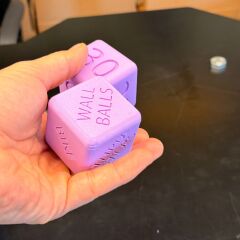 GYMHOLIX® WOD Dice – Fonksiyonel Antrenman Zarları (DGP0000)