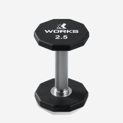 XWORKS Premium Dumbbell – 10 Köşeli TPU Kaplamalı Dambıl (Tek) (XW3200000) 2.5KG (TEK)