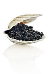 Kırışıklık Karşıtı Havyar Özlü Krem 50 ML