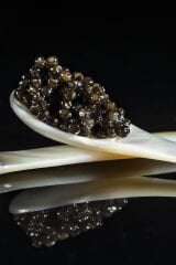 Kırışıklık Karşıtı Havyar Özlü Krem 50 ML