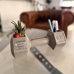 GYMHOLIX® Masa Dambılı (GGX0007)