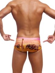 Funky Trunks Circle Of Life Erkek Antrenman Mayo, 14cm Trunks