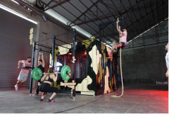 GYMHOLIX® FastBox Elite X Taşınabilir Konteyner Spor Salonu (CGXF020)