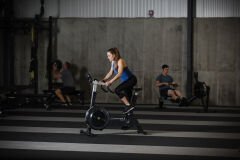 Concept2 BikeErg Bisiklet Ergometresi | Profesyonel Kardiyo Cihazı (XCN2900)